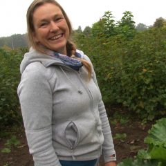 Verfplanten in je tuin (VIDEO)