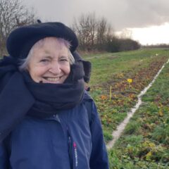 Een boerderij in Italië beginnen