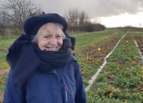 Beste podcast van 2025