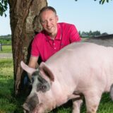 De blije varkens van Zonvarken (PODCAST)