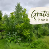 Wat ik leerde over syntropische landbouw (VIDEO)
