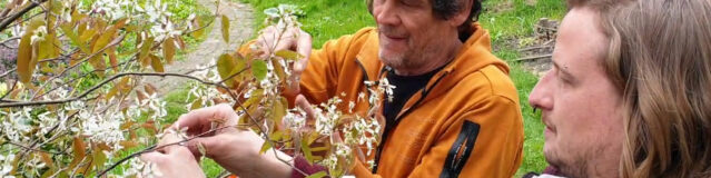 Hans plukt bloesems