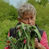 Wat is syntropisch tuinieren? (VIDEO)