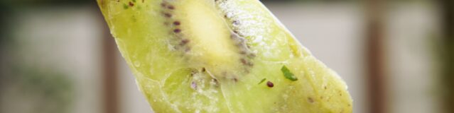 hand met kiwi-ijsje op een stokje
