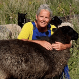 Wel of geen vlees eten? (VIDEO)