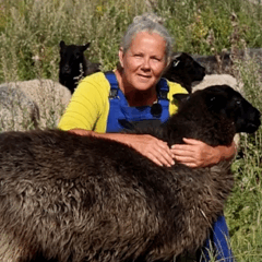 Wel of geen vlees eten? (VIDEO)