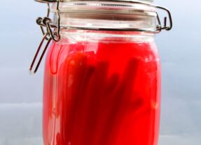 Fermenteren voor dummies