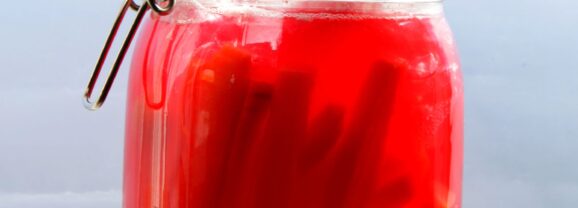 Fermenteren voor dummies